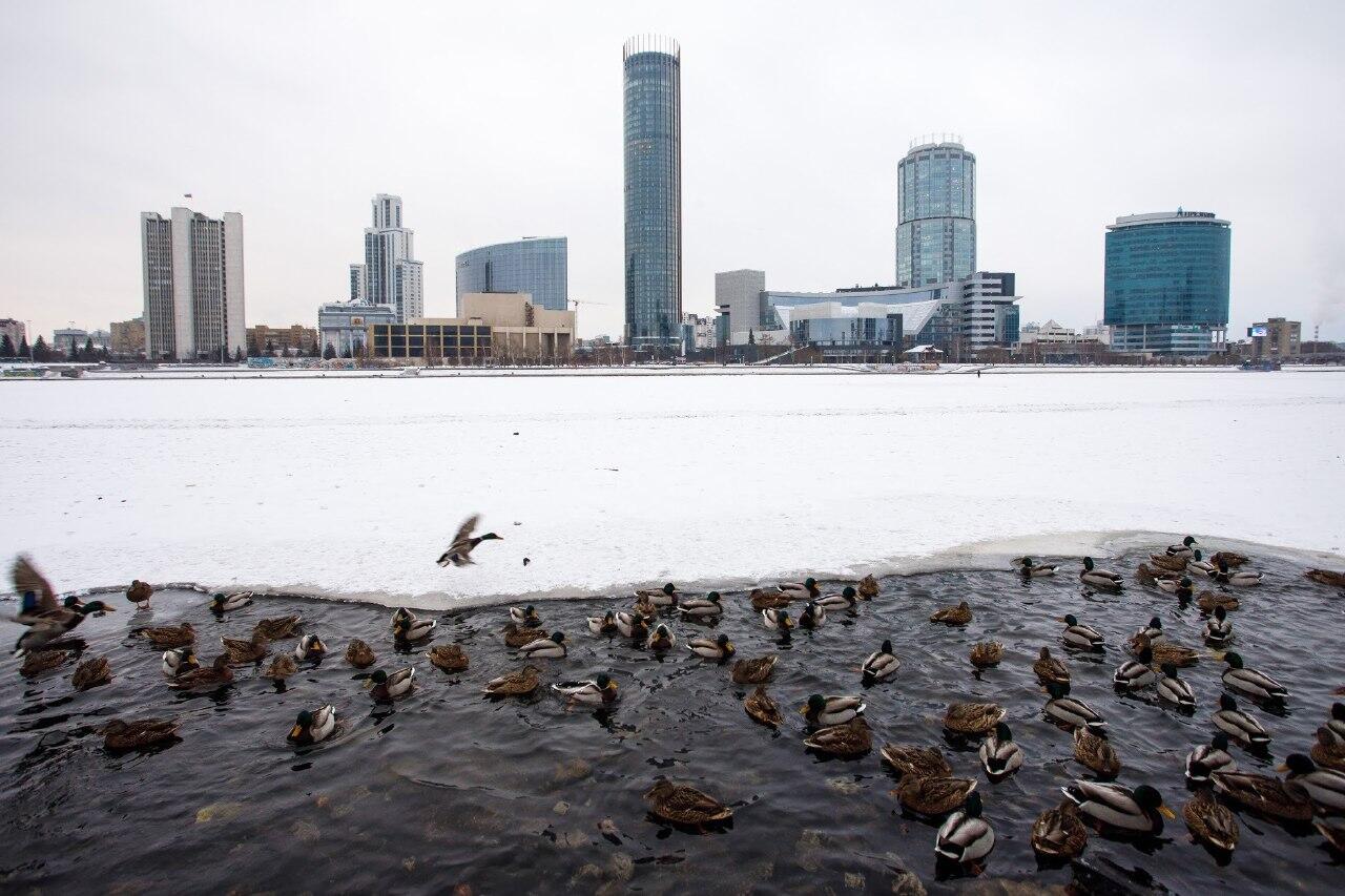 Вид на Екатеринбург. Фото: Марина Молдавская / It's My City