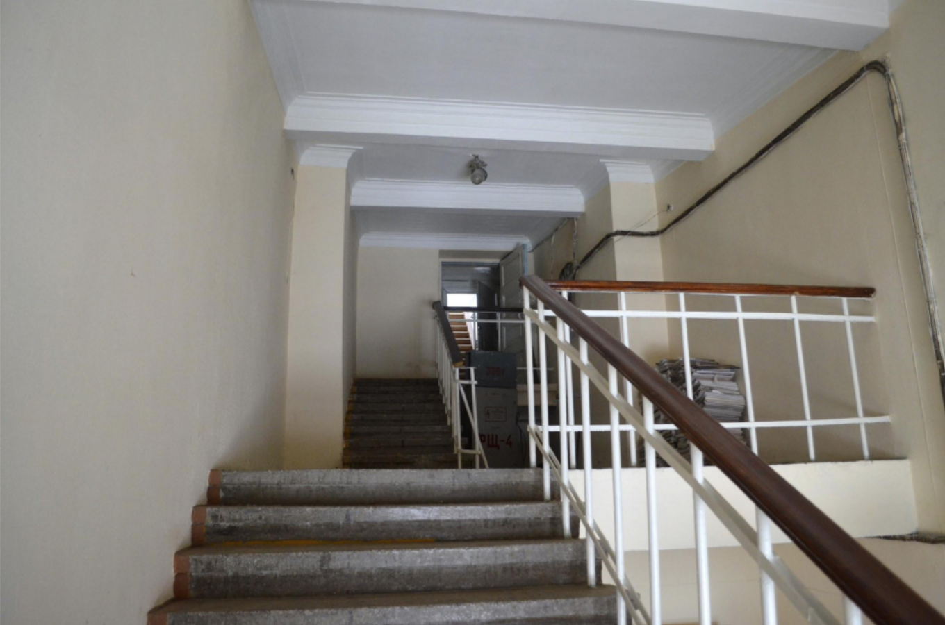 Фото из заявления экспертов