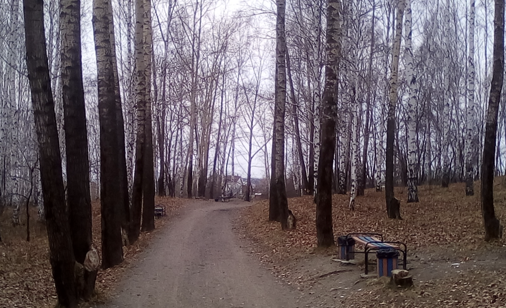 Так выглядит парк последние несколько лет. Скриншот: Алексей М. / Google Maps