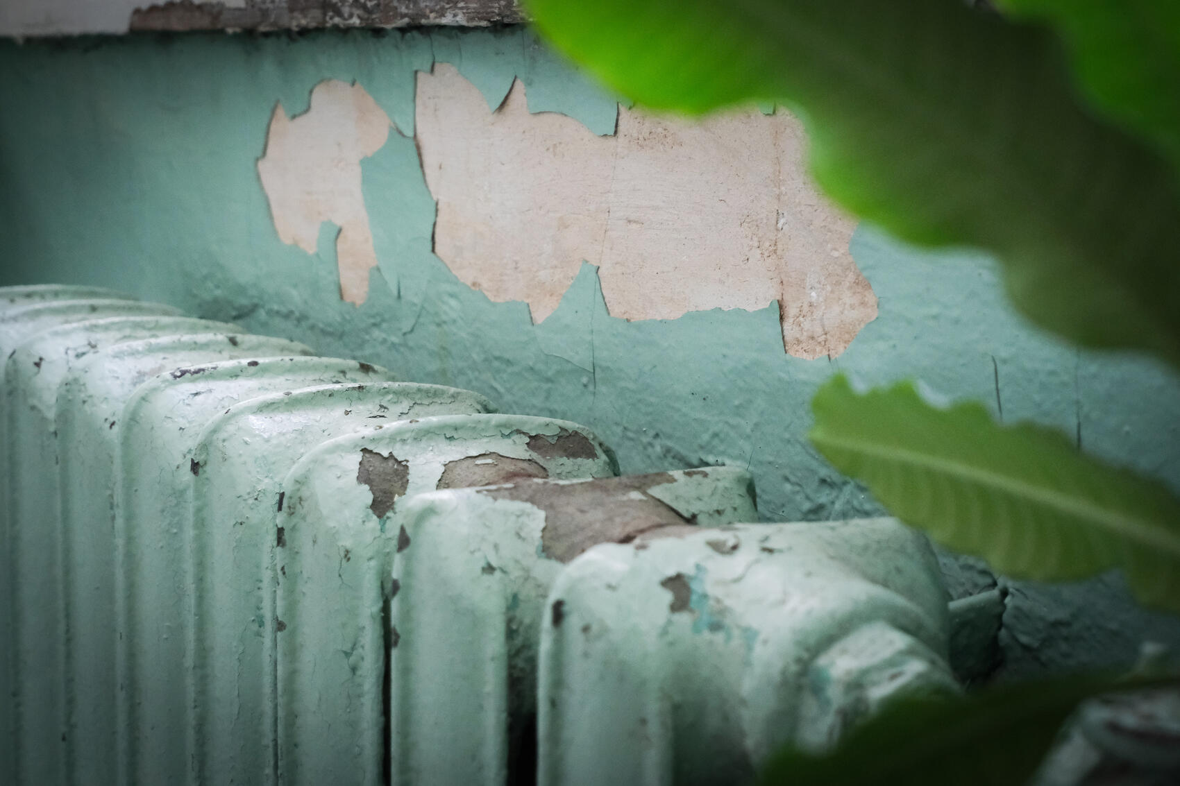 Саша Зубковский / It’s My City