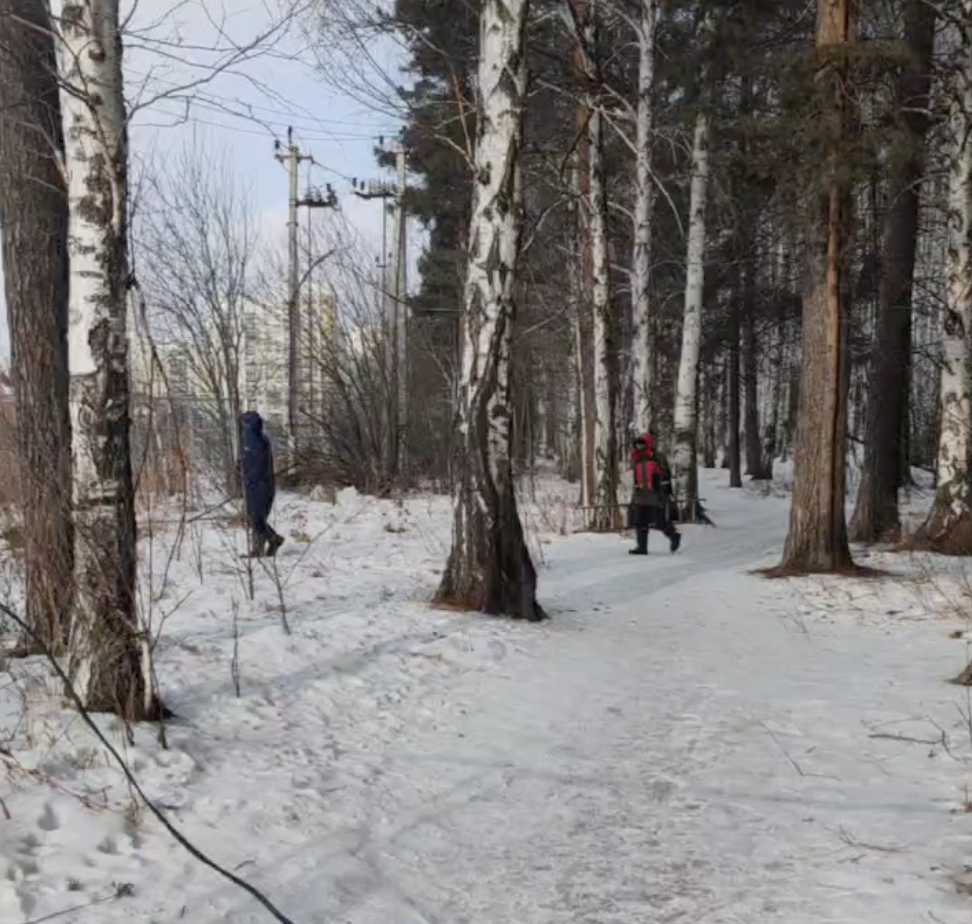Скриншот видео из чата «Штаб Березовой рощи»