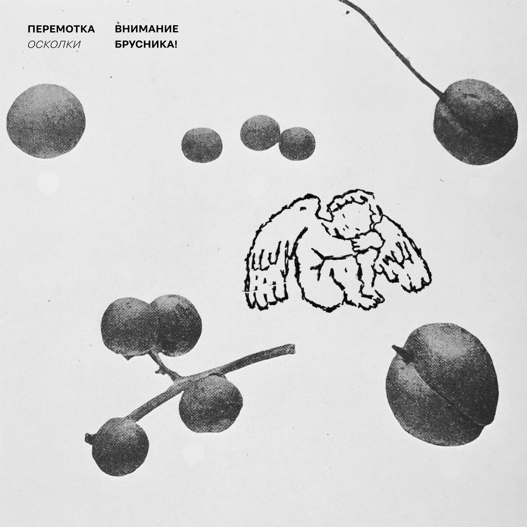 Внимание брусника аккорды. Внимание брусника аккорды. Внимание брусника аккорды. Внимание брусника. Внимание брусника аккорды.