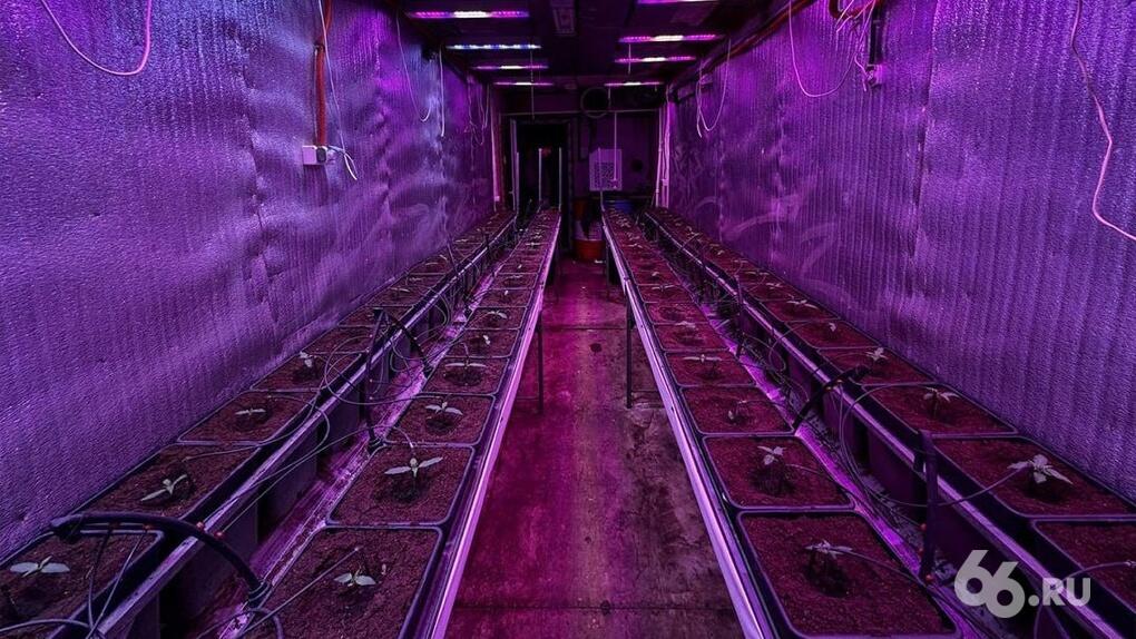 Лаборатория внутри морского контейнера. Фото: 66.Ru