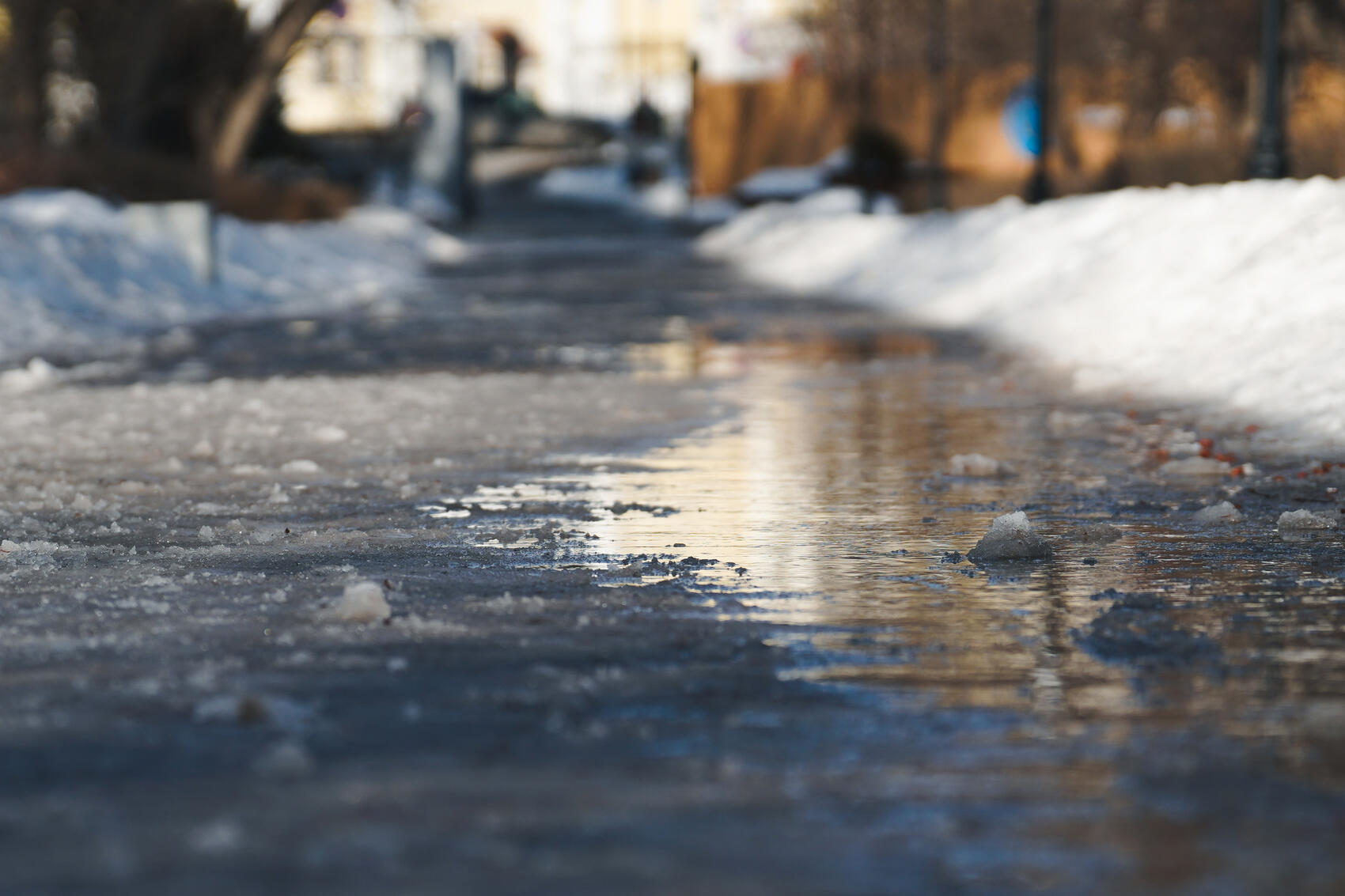 Фото: Елена Елизарова / It's My City