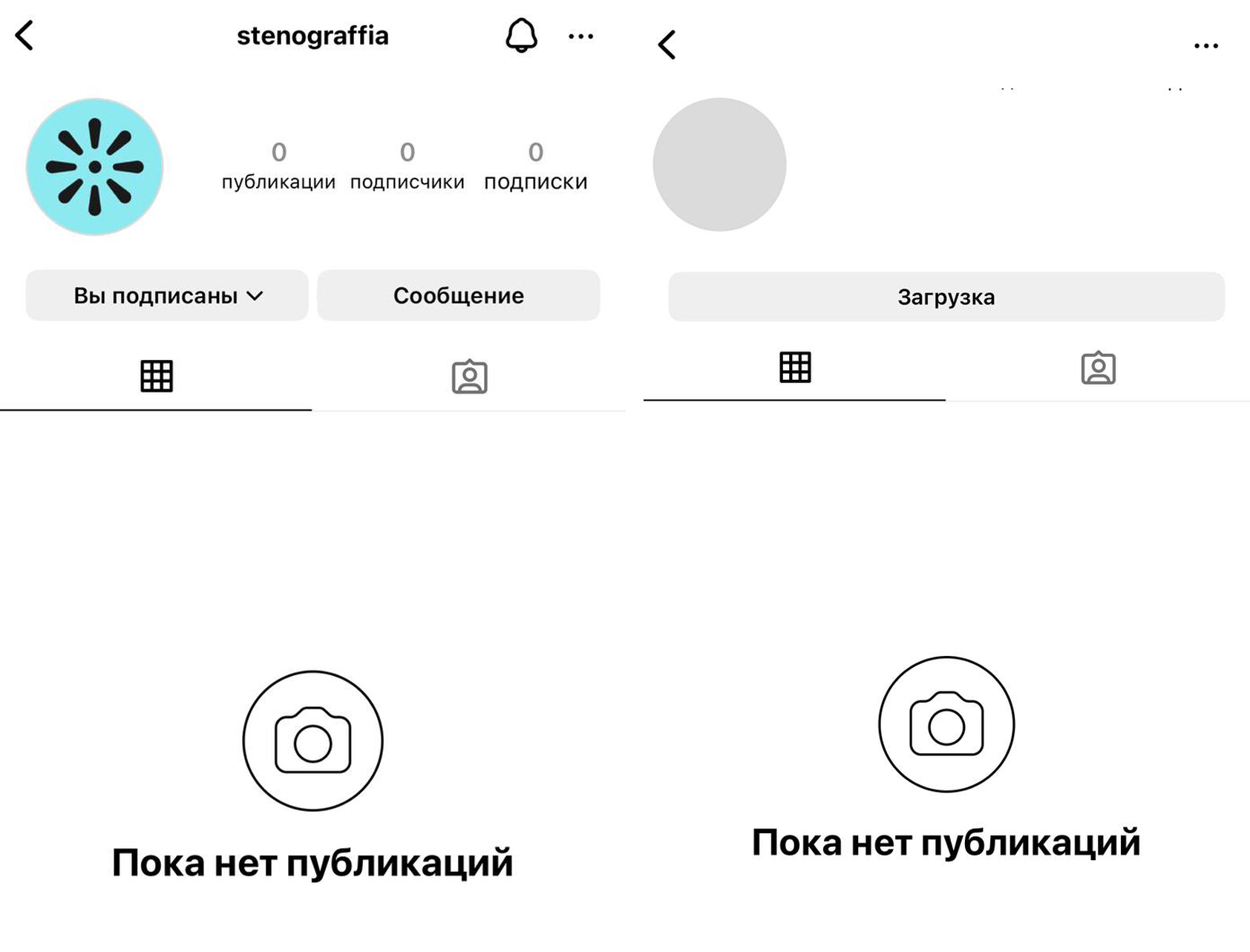 Скриншоты страниц Stenograffia и Sandarina. У последнего аккаунта не отображается даже его название.