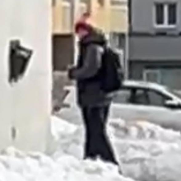 Фото: телеграм-канал «СВЕТ»