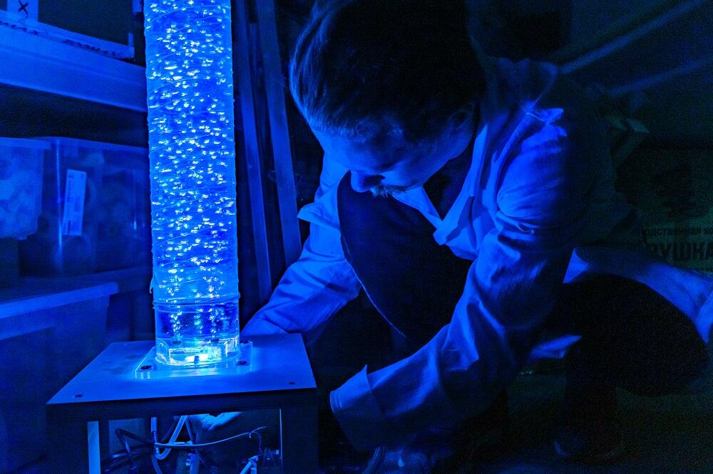 Фото: Арина Томашова / It’s My City