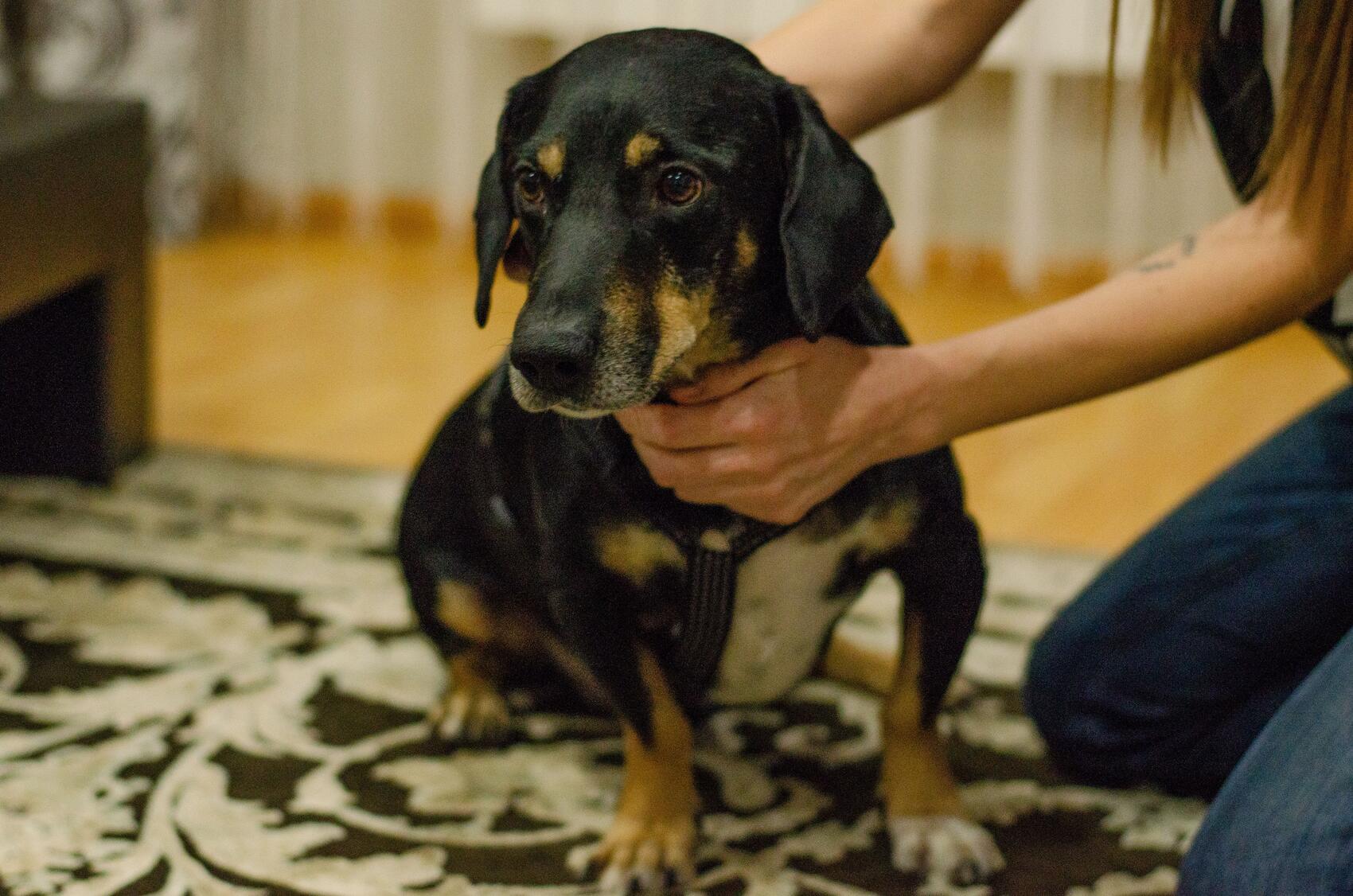 Брюс. Фото: Евгения Кобеева / It’s My City