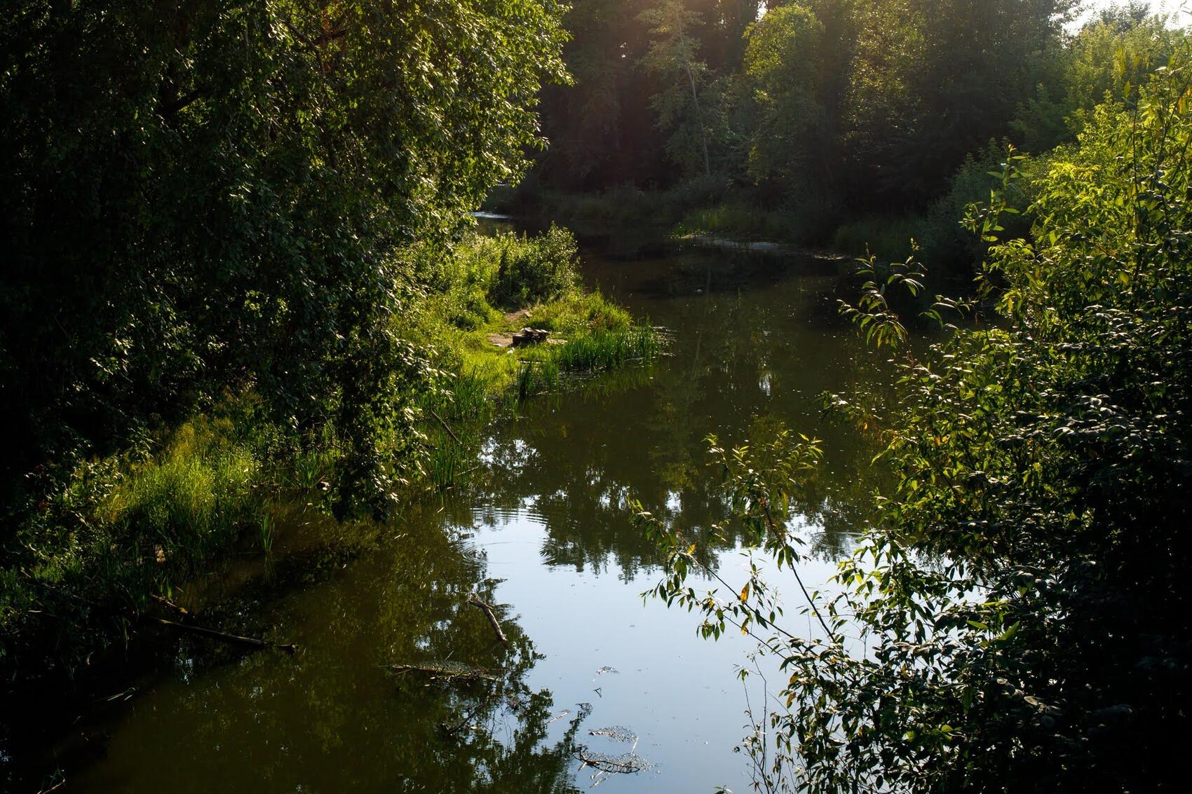 Фото: Марина Молдавская / It's My City