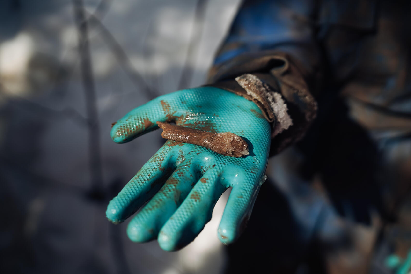 Фото: Елена Елизарова / It’s My City