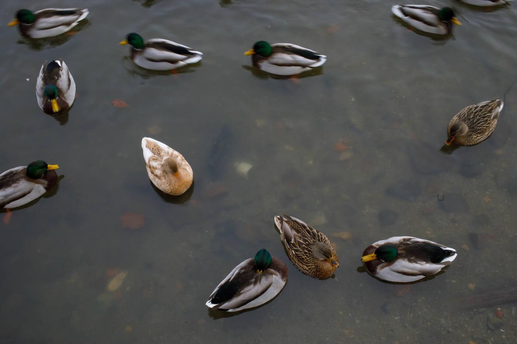 Фото: Марина Молдавская / It's My City
