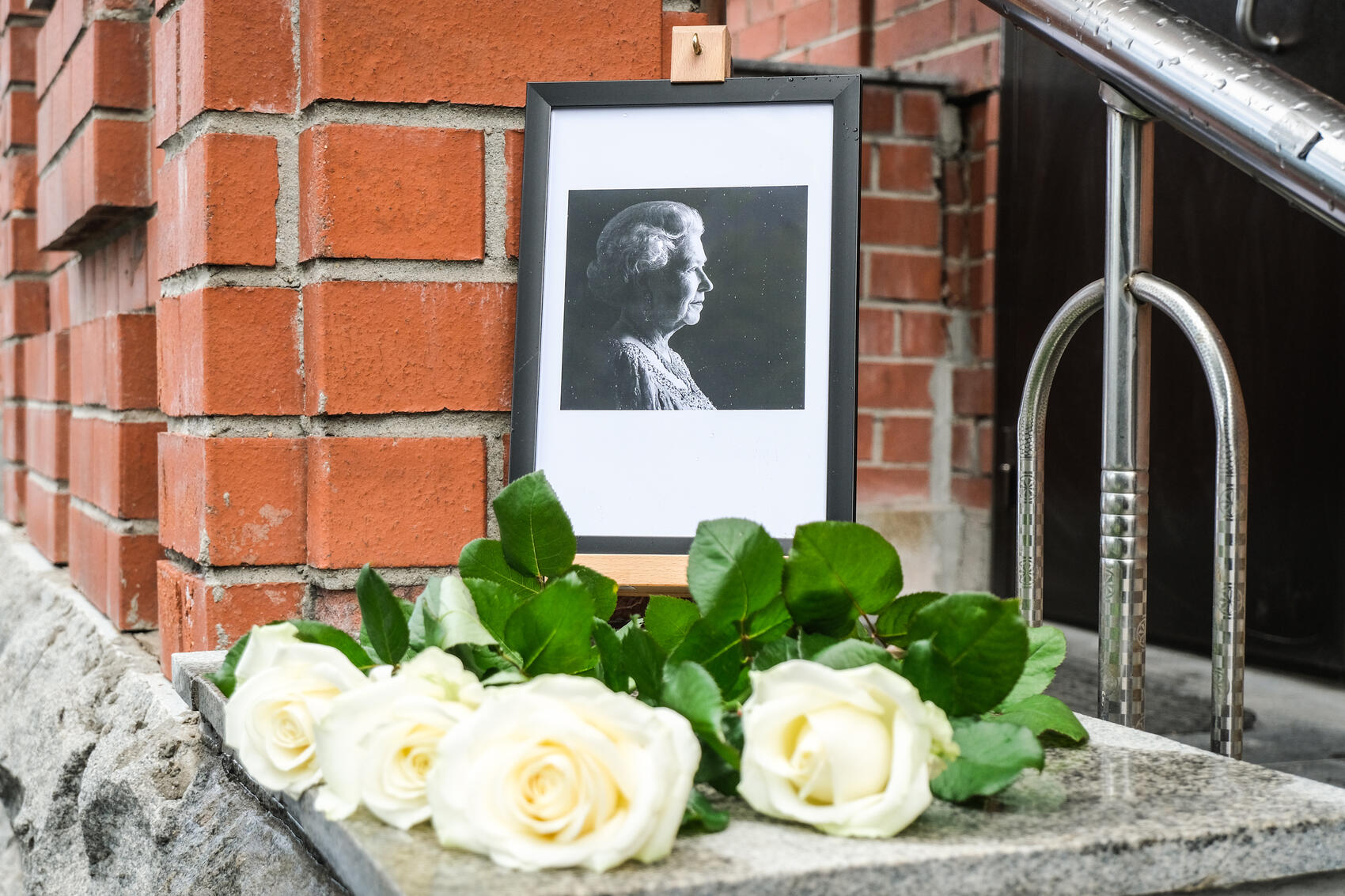 Фото: Саша Зубковский / It's My City