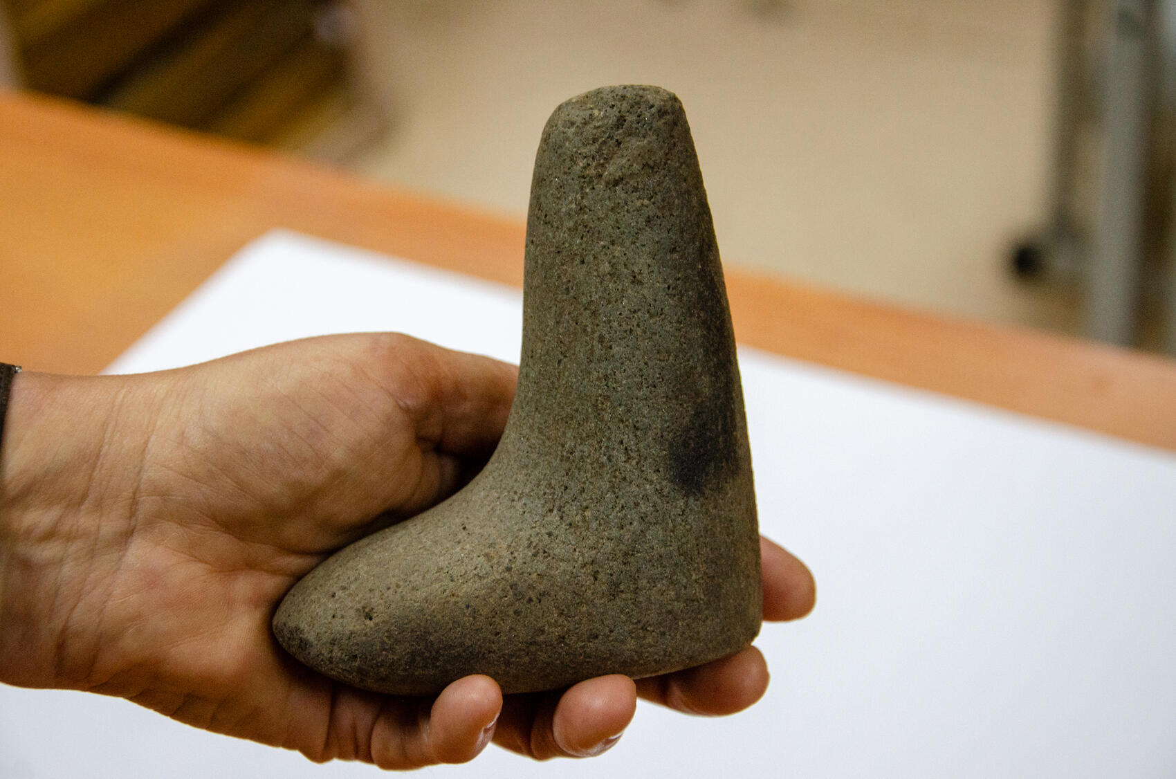 Фото: пресс-служба УрФУ