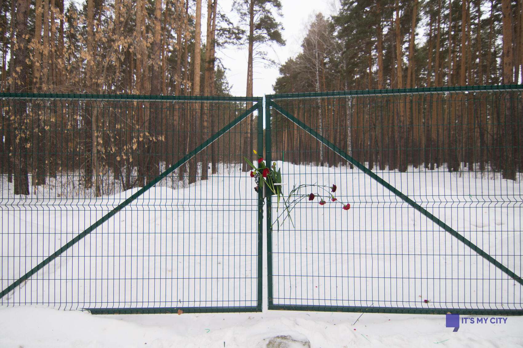 Фото: Елена Елизарова / It’s My&nbsp;City