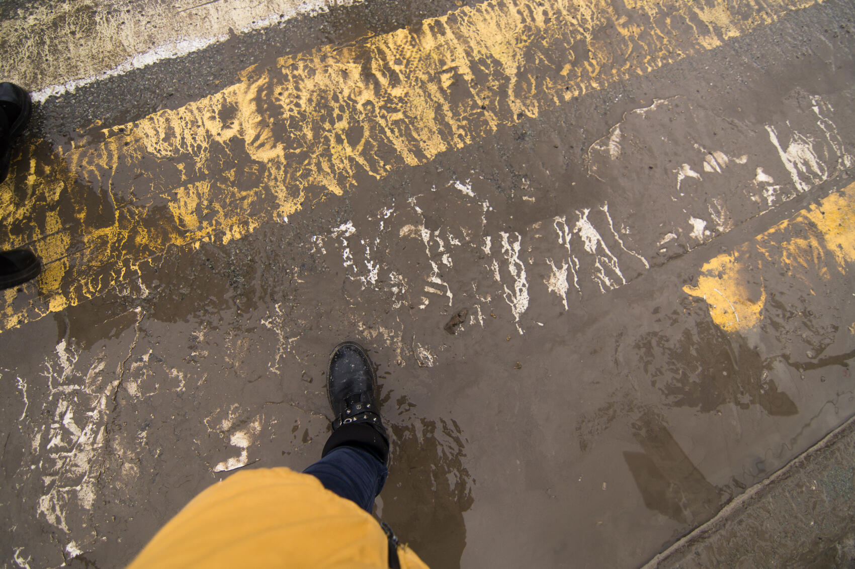 Фото: Елена Елизарова / It’s My City