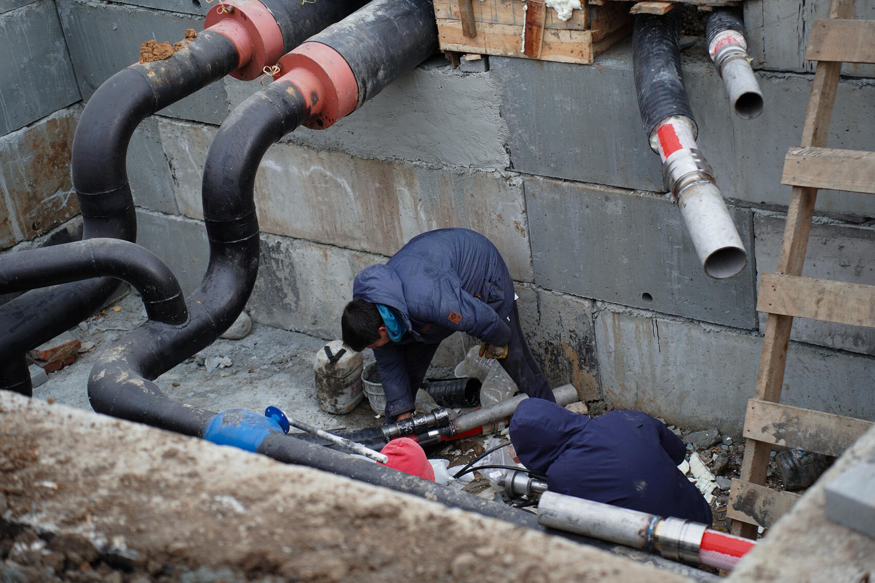 Фото: Елена Елизарова / It’s My City