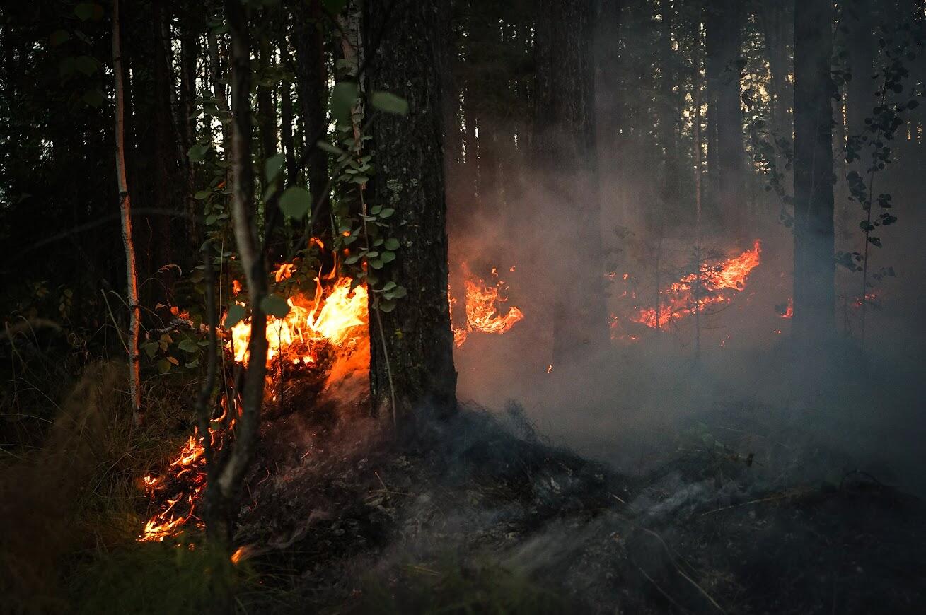 Фото: Арина Распутина / It's My City