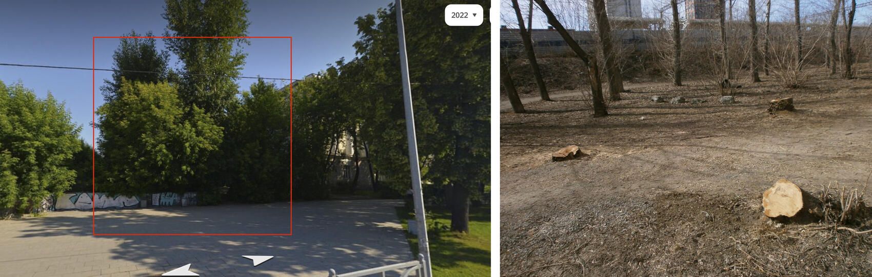 Коллаж: «Яндекс. Панорама», телеграм-канал «Деревья Екатеринбурга»