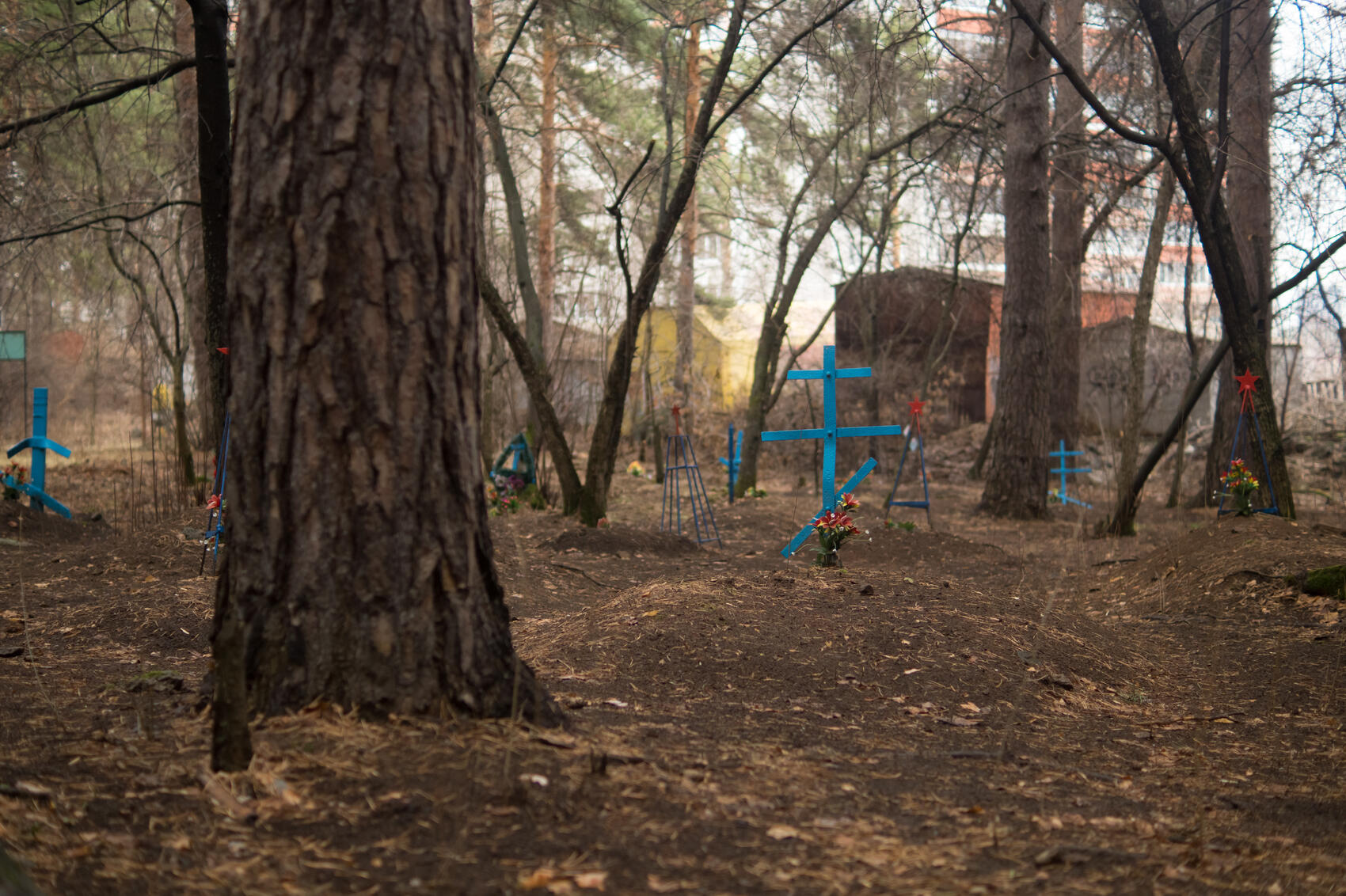 Фото: Елена Елизарова / It's My City