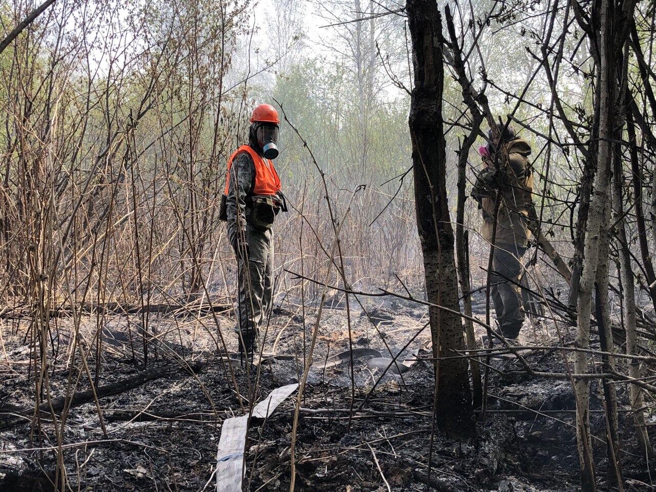 Фото: Мария Рубинина / It’s My City