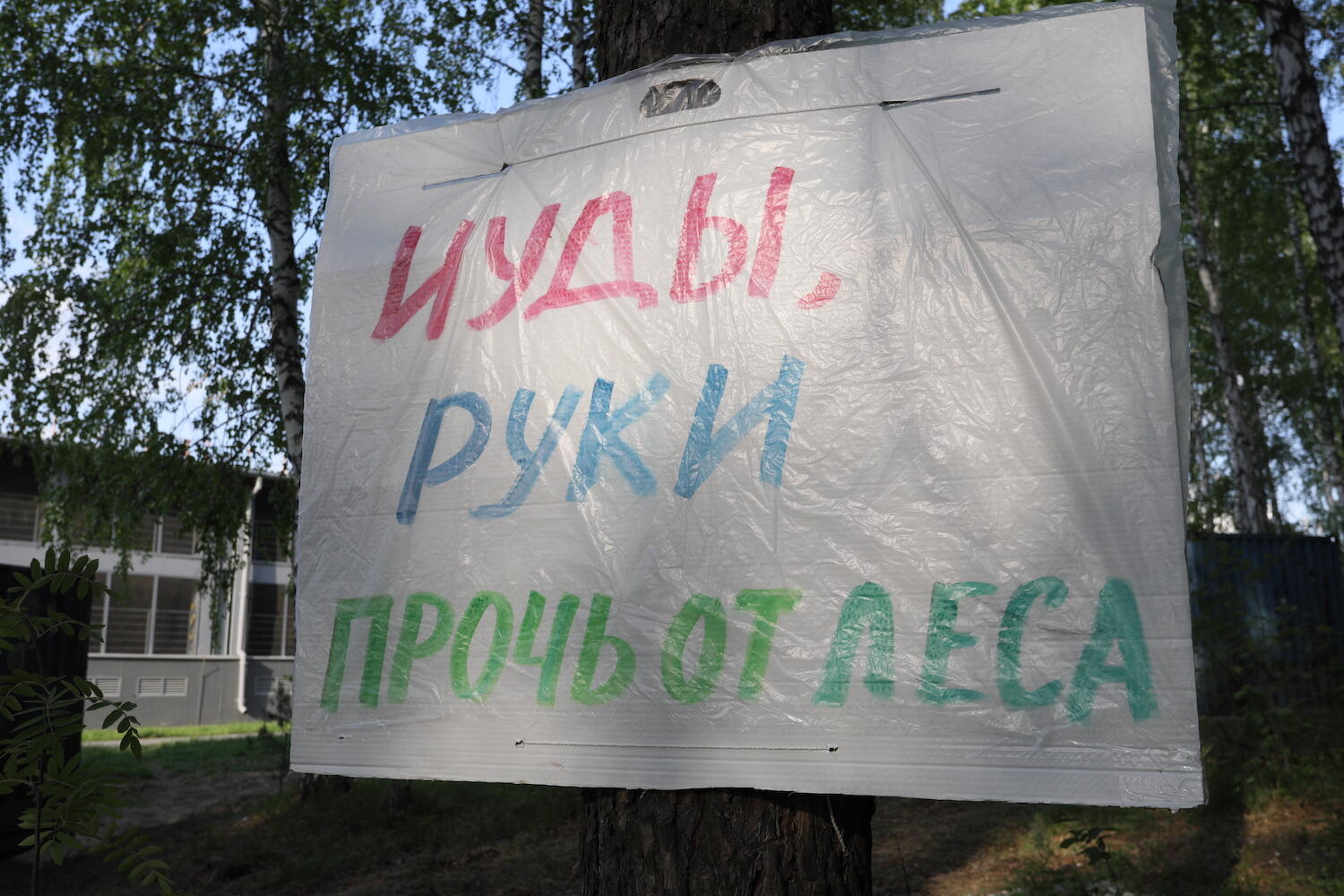 Призыв на одном из деревьев на территории будущего глэмпинга. Фото: Марина Молдавская / It's My City