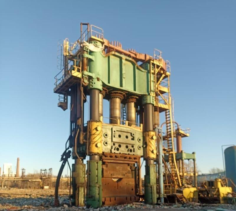 Фото: ВООПИК по Свердловской области