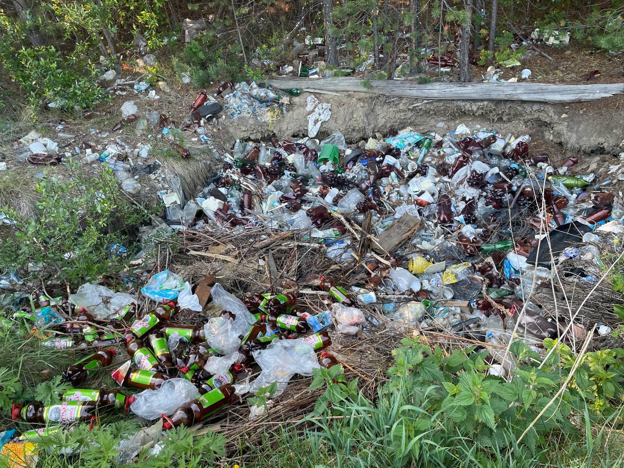 Фото: соцсети «Экодозора»