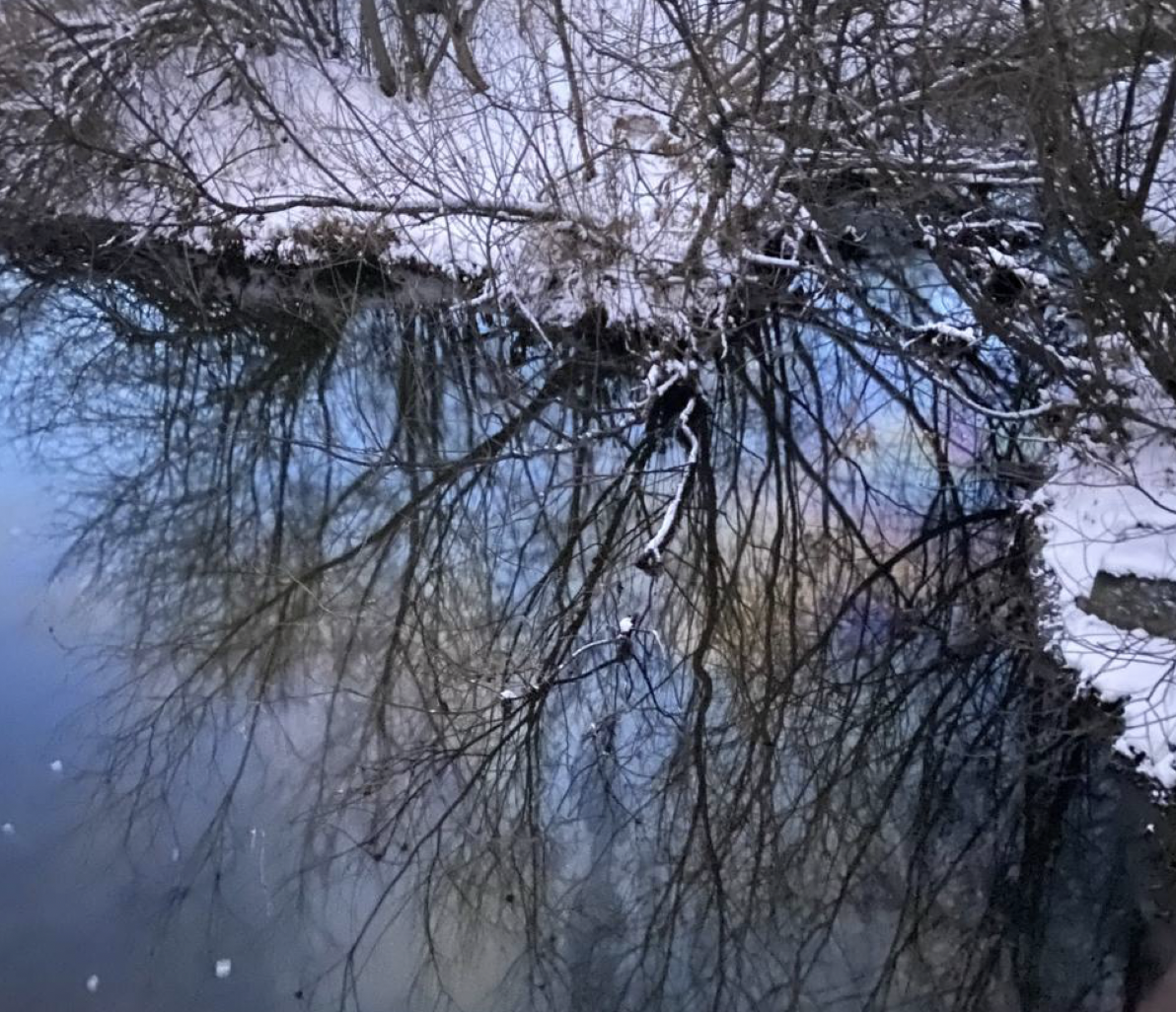 Фото: телеграм-чат «Добровольцы быстрого реагирования»