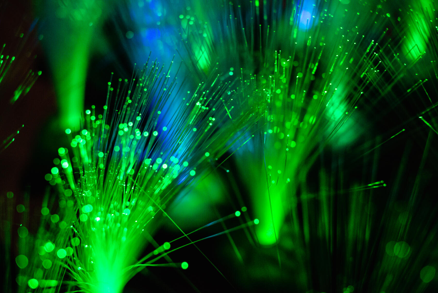 Фото: Алексей Патентный