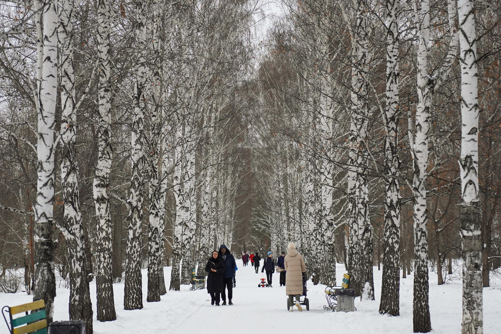 Фото: Елена Елизарова / It's My City