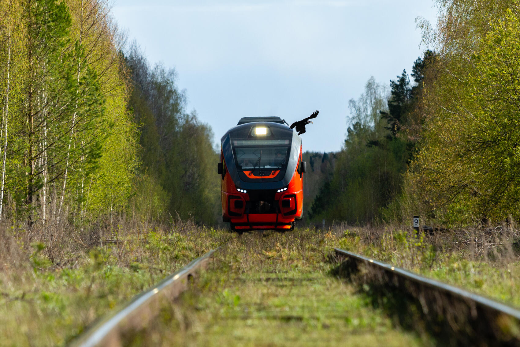 Фото: Илья Вага / It's My City