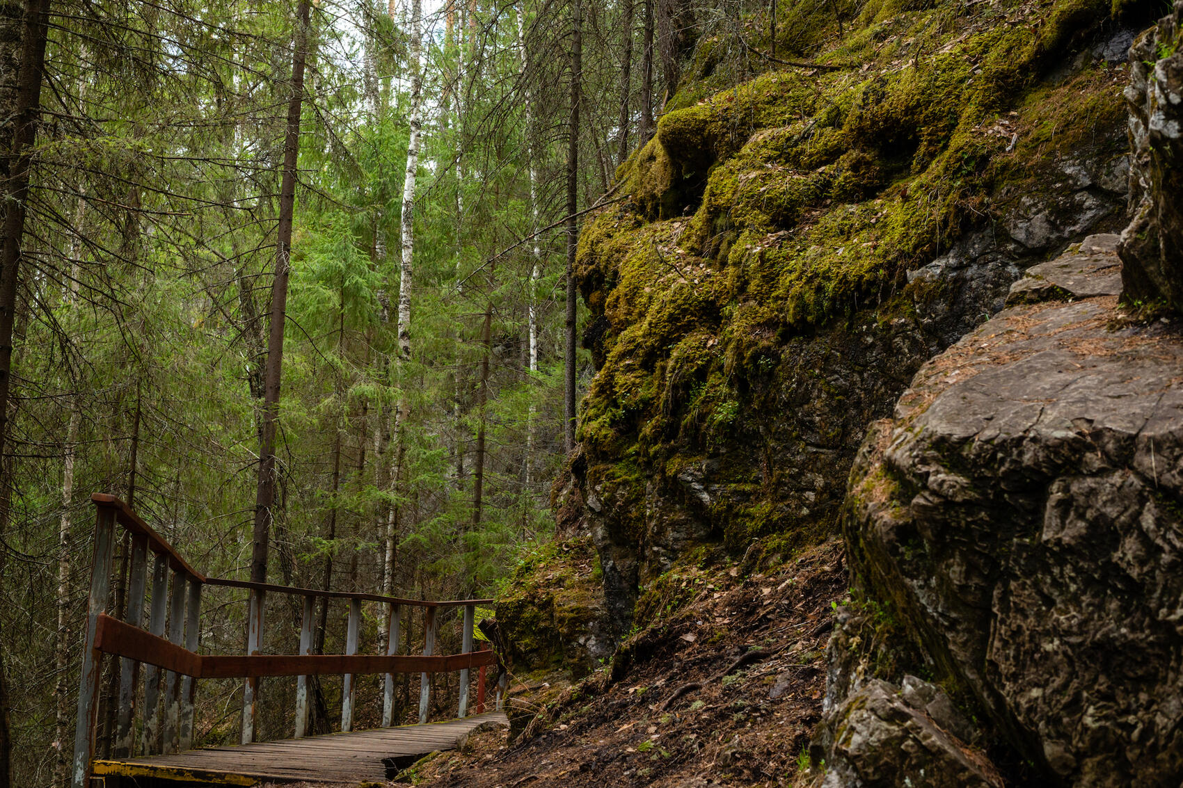 Фото: It's My City