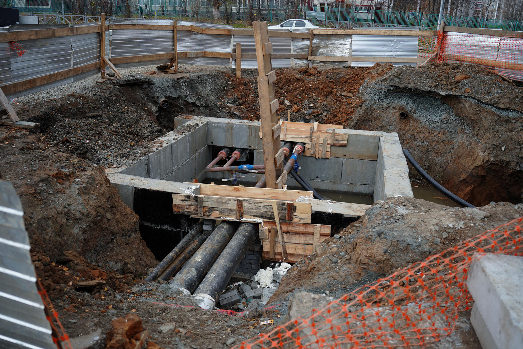 Фото: Елена Елизарова / It’s My City