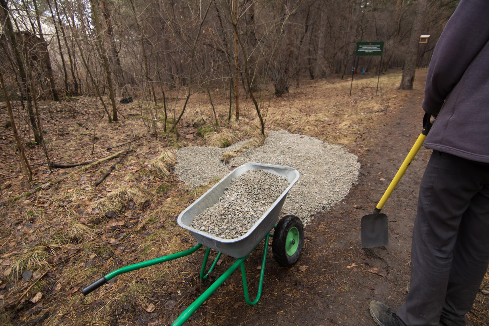 Фото: Елена Елизарова / It's My City