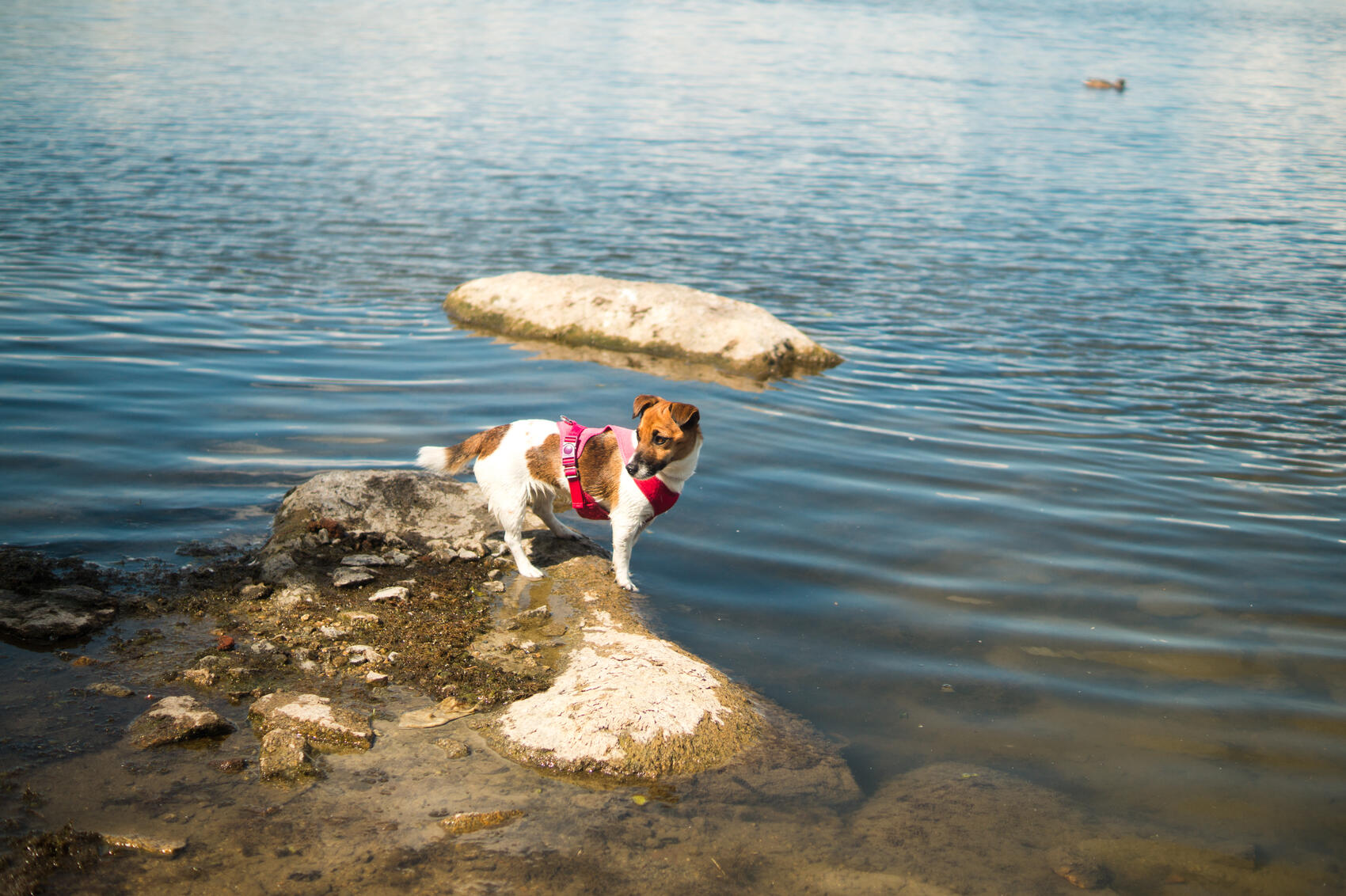 Фото: Елена Елизарова / It’s My City