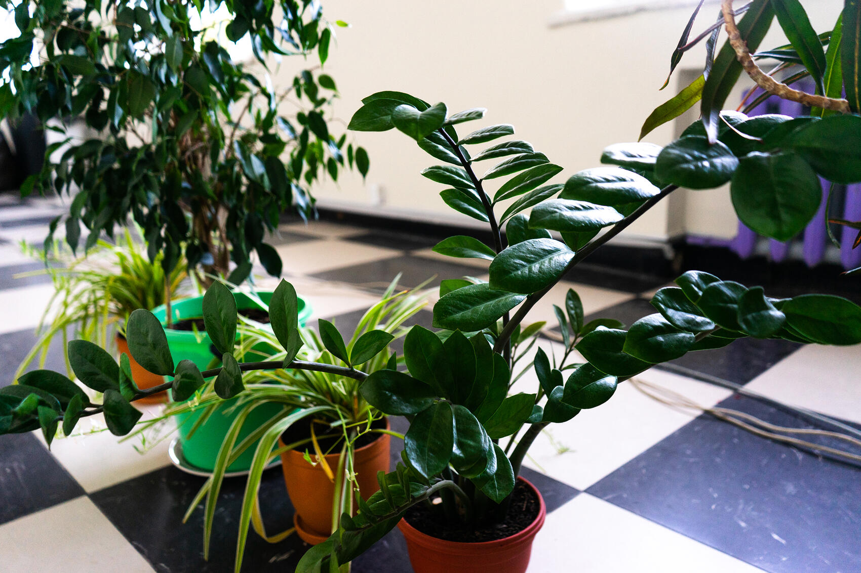 Фото: Арина Томашова / It's My City