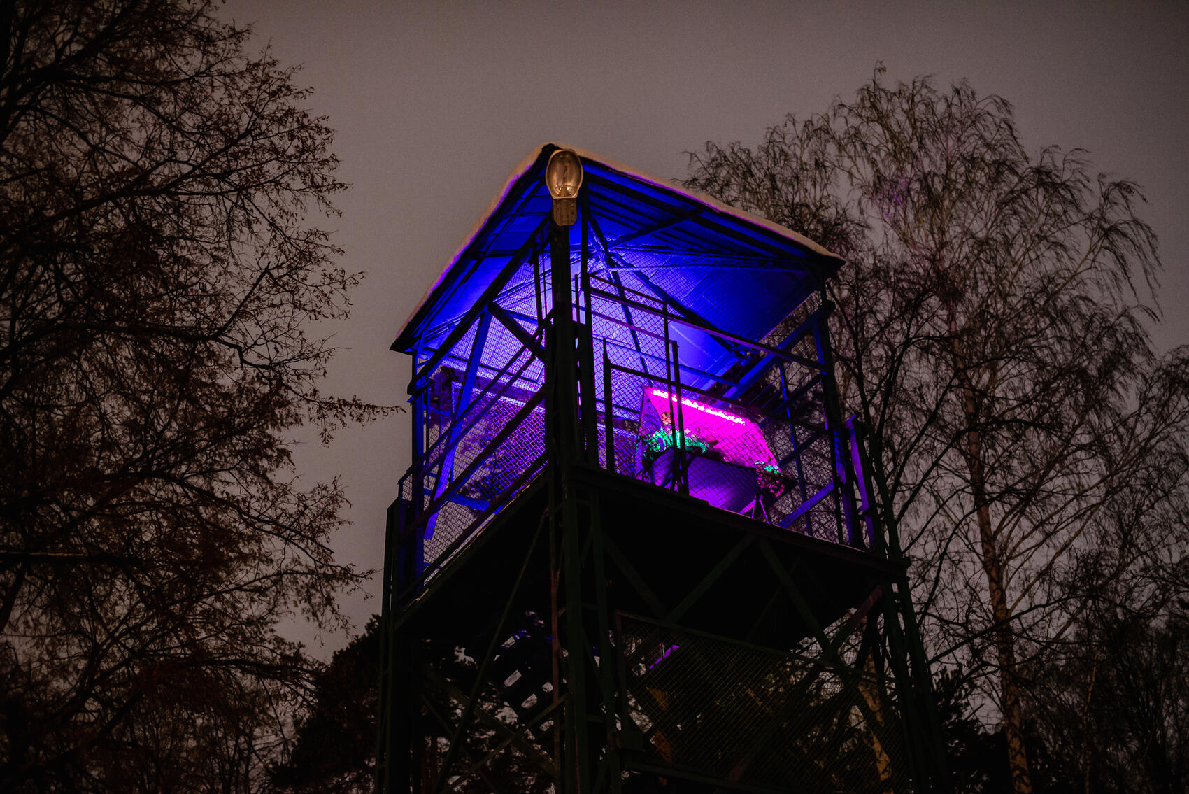 Фото: Алексей Патентный