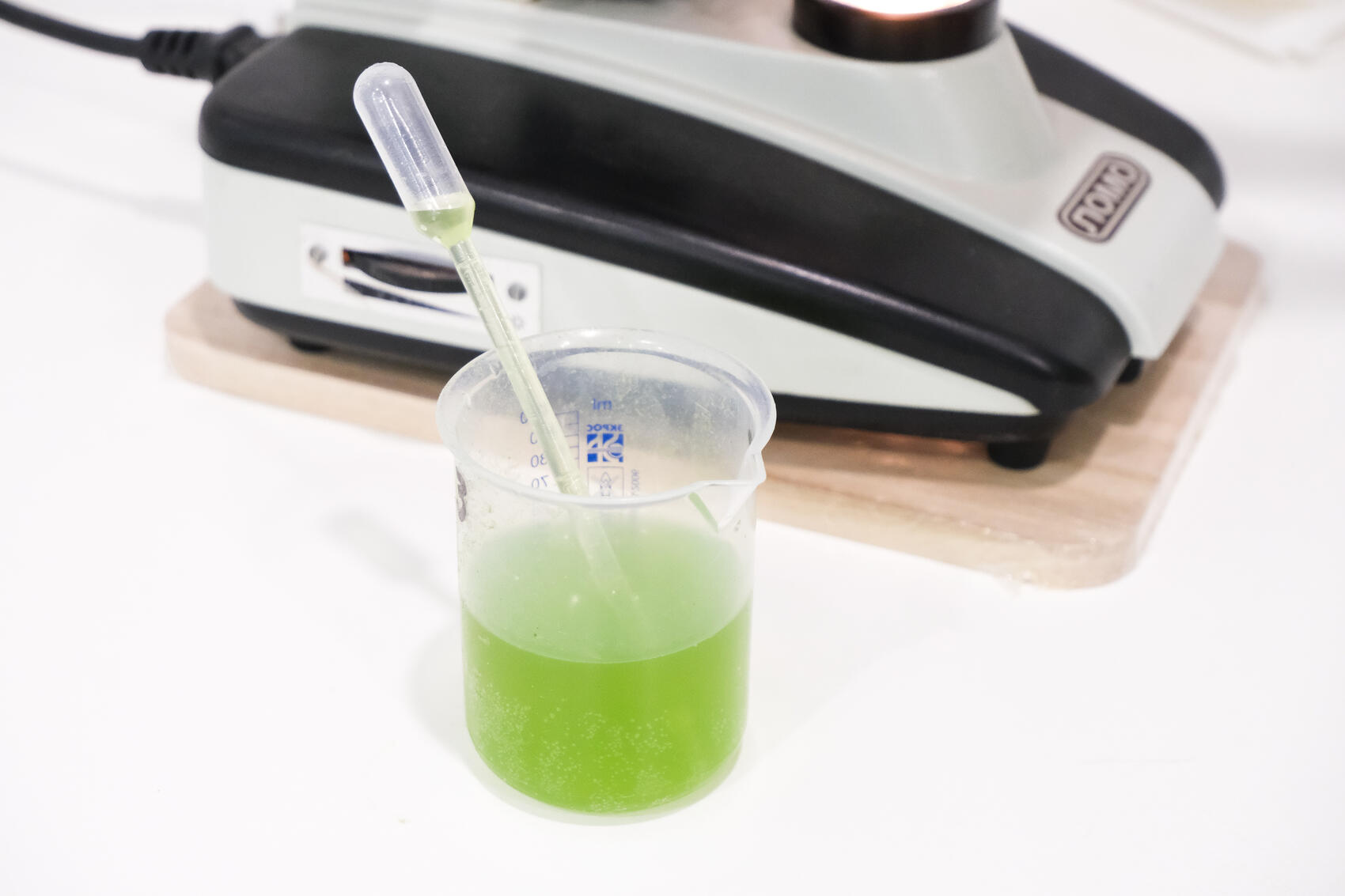 Фото: Саша Зубковский / It's My City