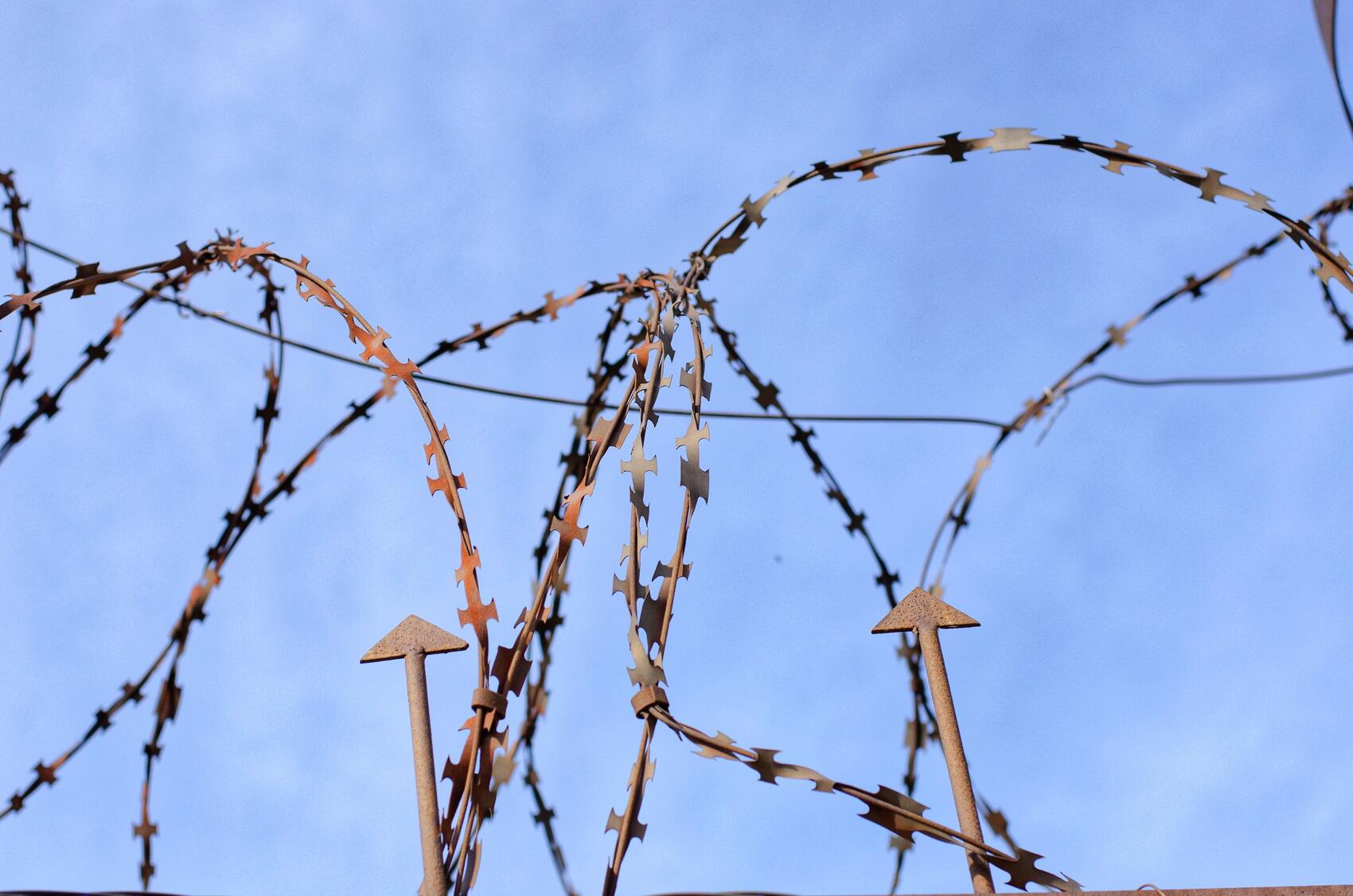 Фото: Евгения Кобеева / It’s My City