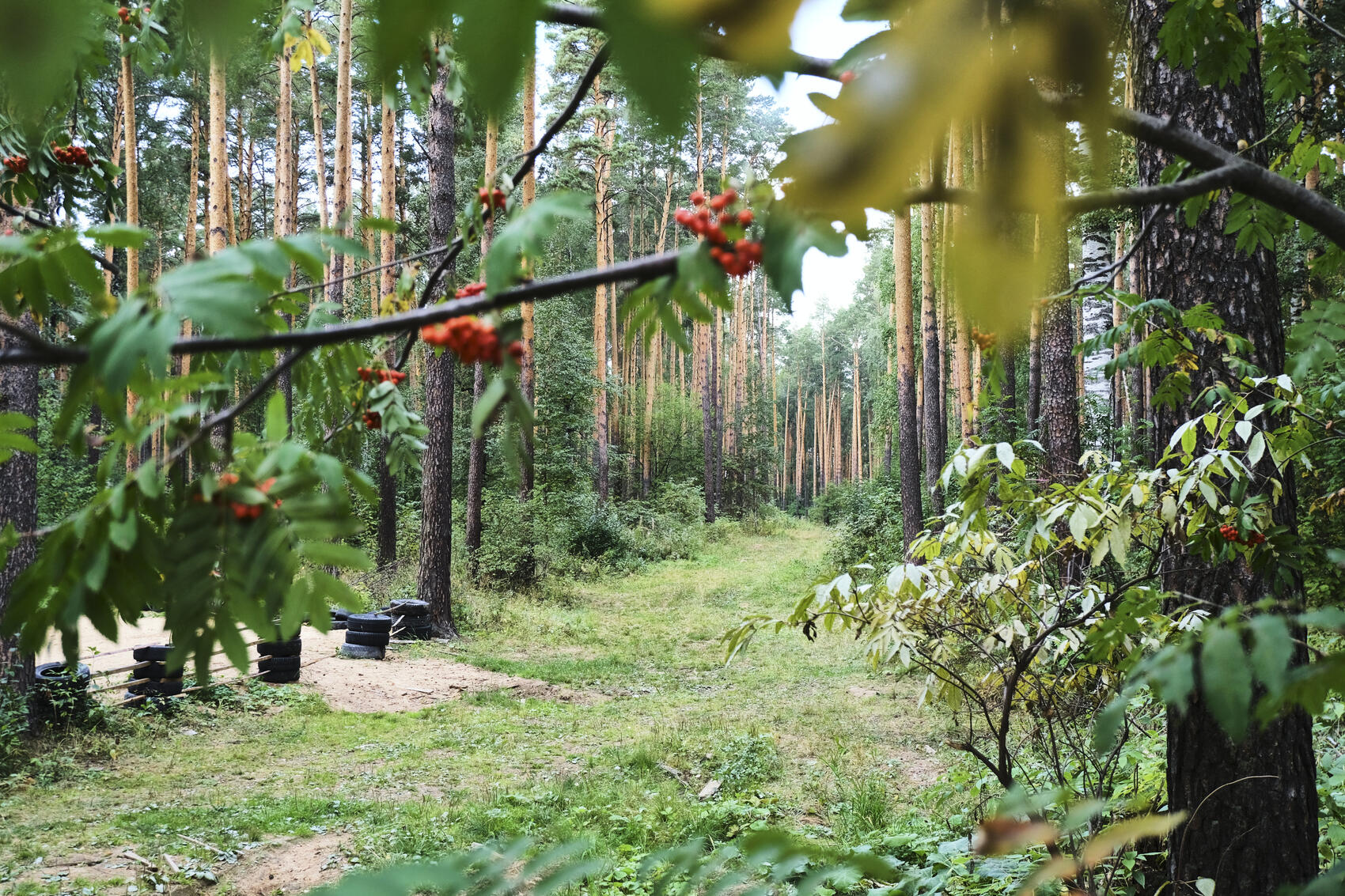 Фото: Саша Зубковский / It's My City