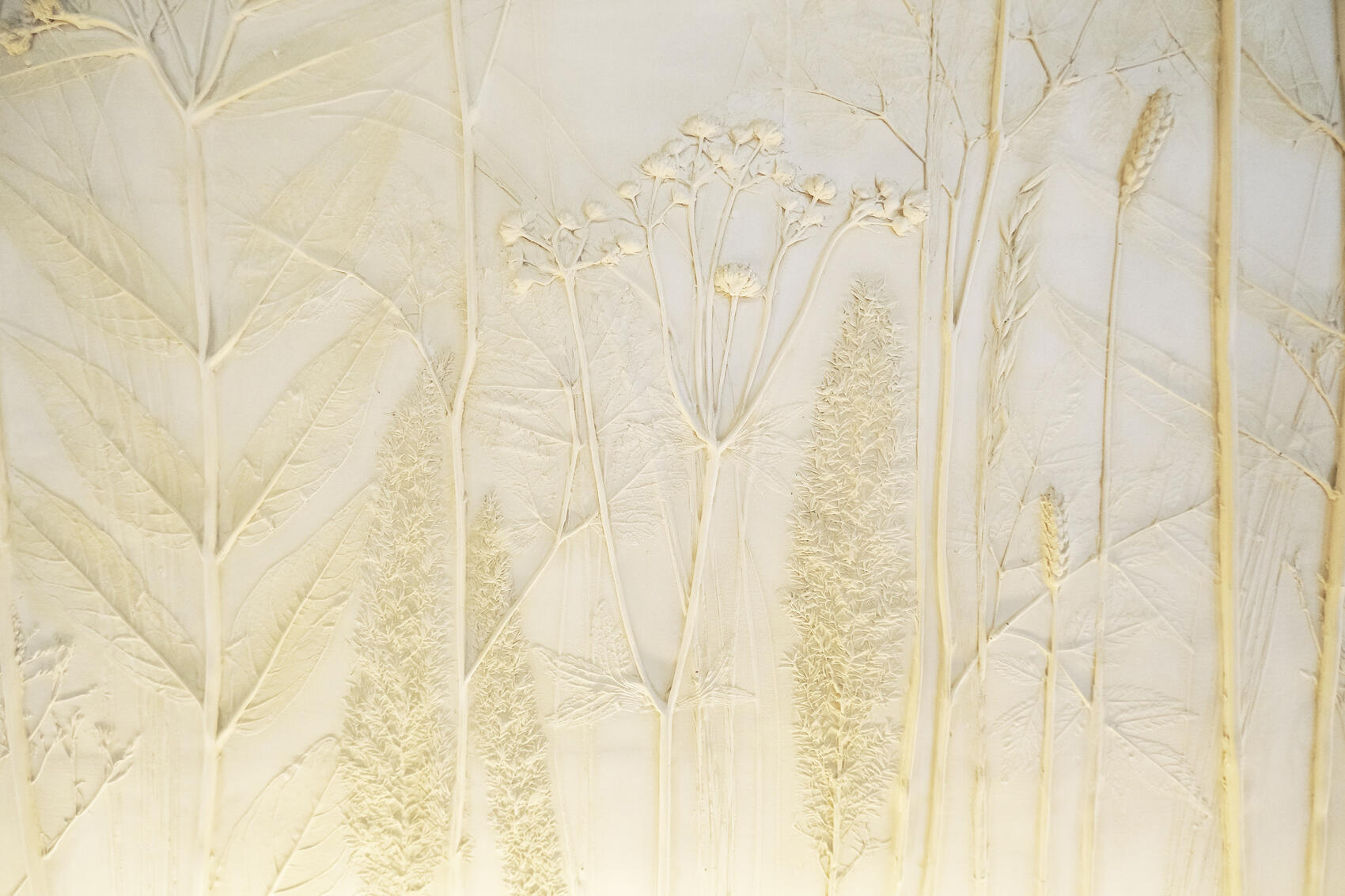 Фото: Саша Зубковский / It's My City