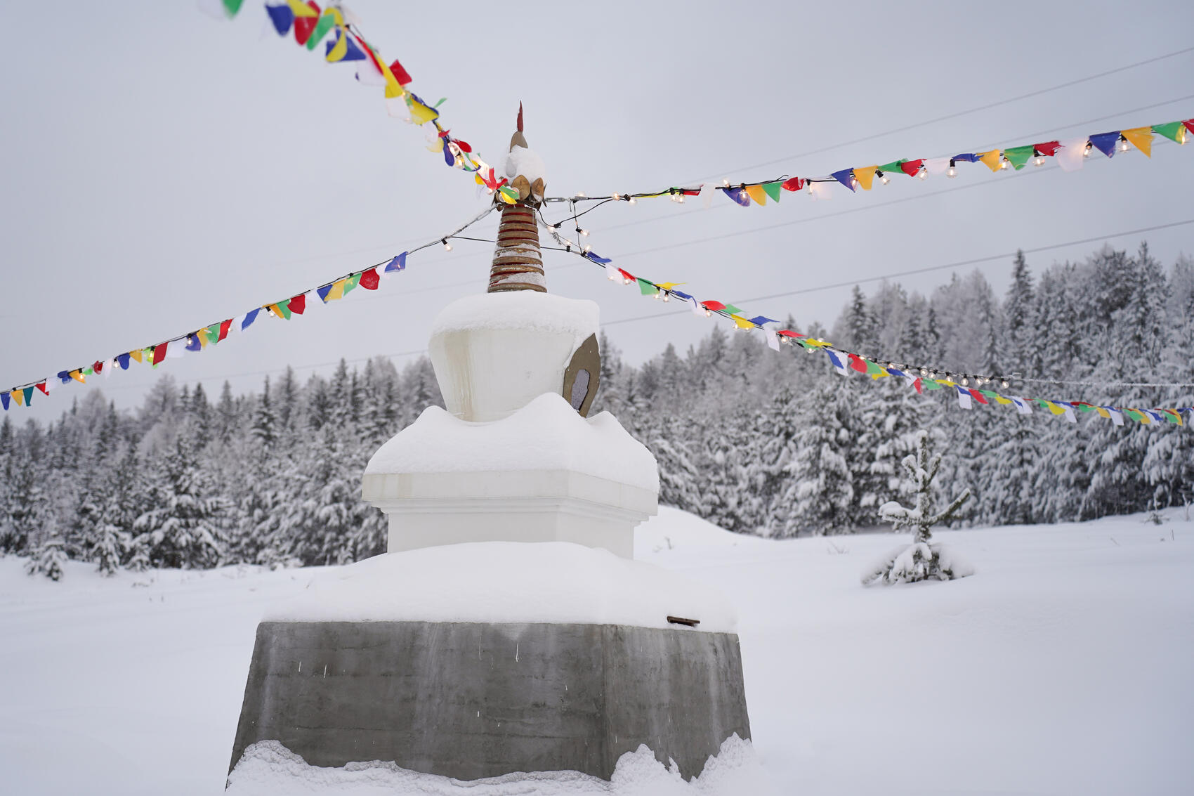 Фото: Елена Елизарова / It's My City