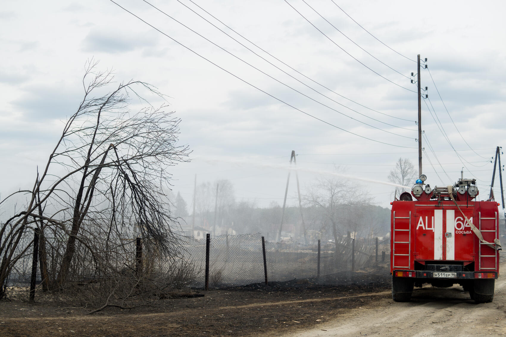 Фото: Елена Елизарова / It's My City