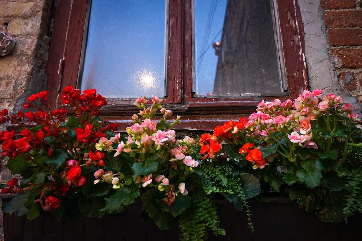 Фото: Арина Томашова / It's My City