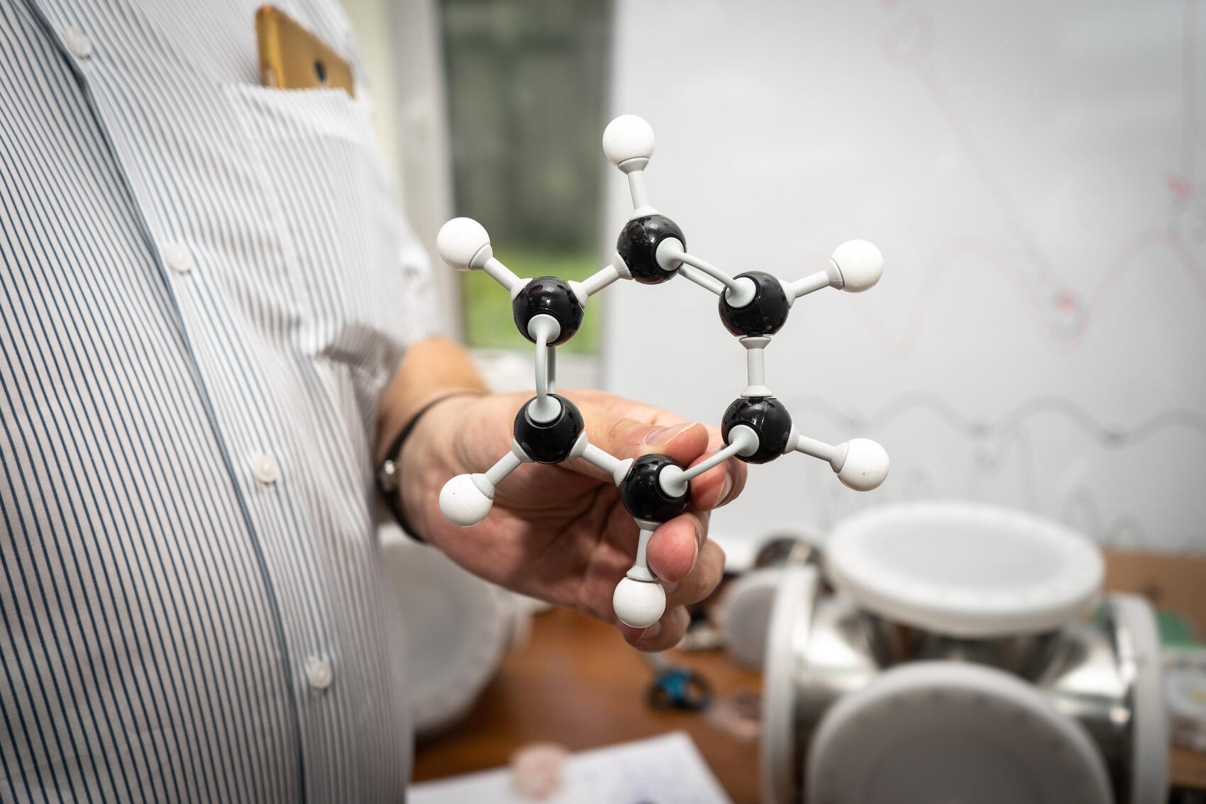 Одна из главных загадок появления жизни — процесс возникновения первой клетки. Фото: Арина Томашова / It's My City