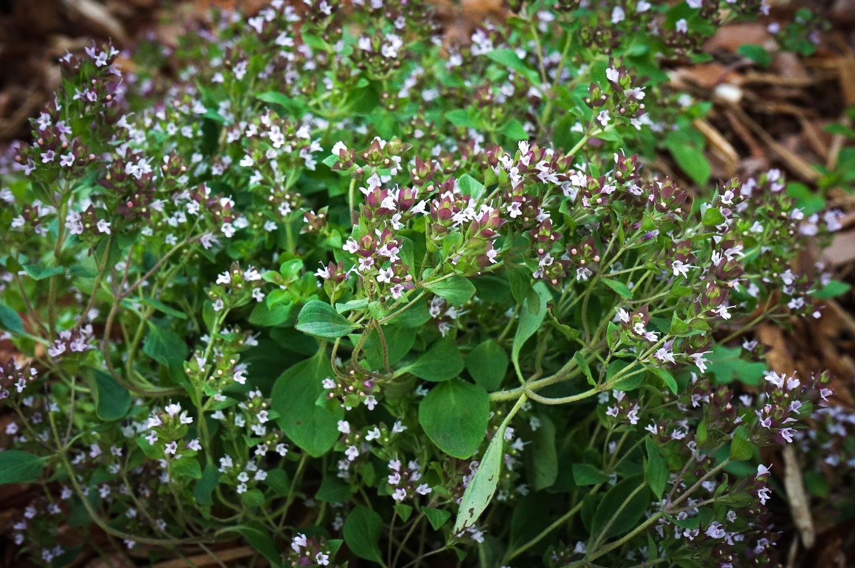 Фото: Арина Томашова / It's My City