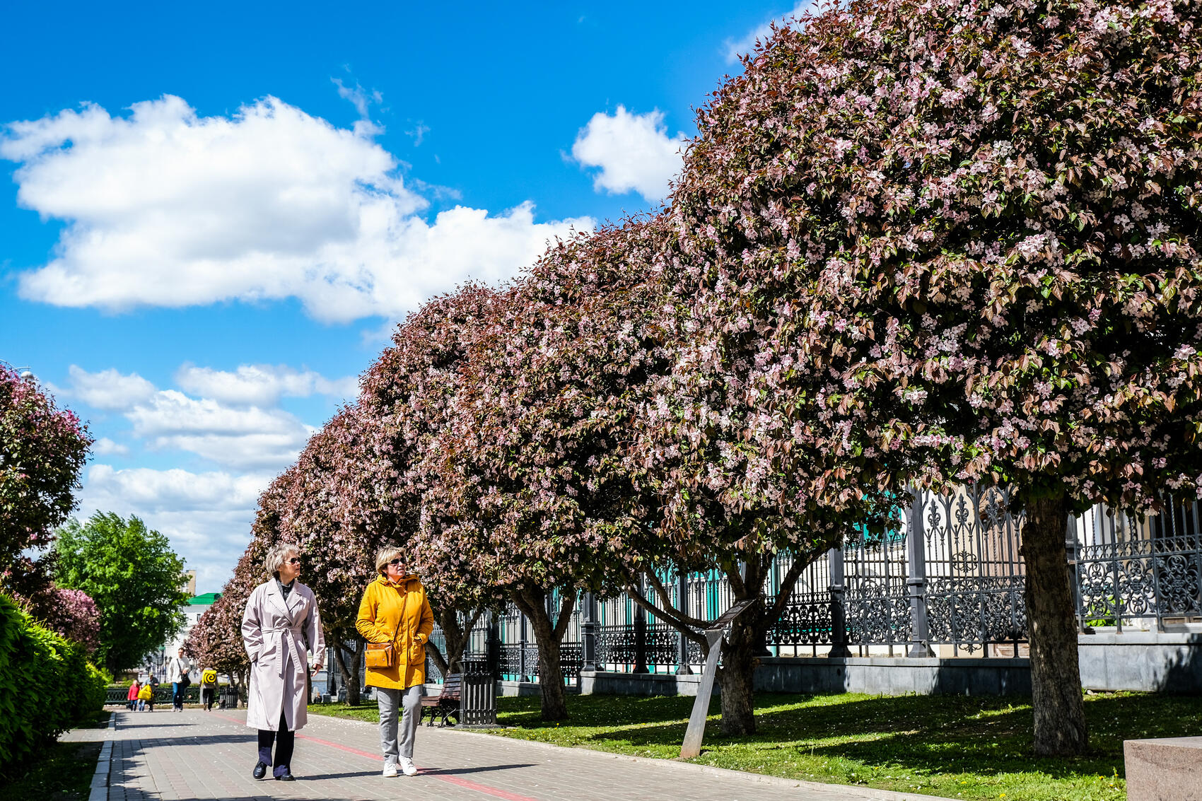 Фото: Саша Зубковский / It's My City