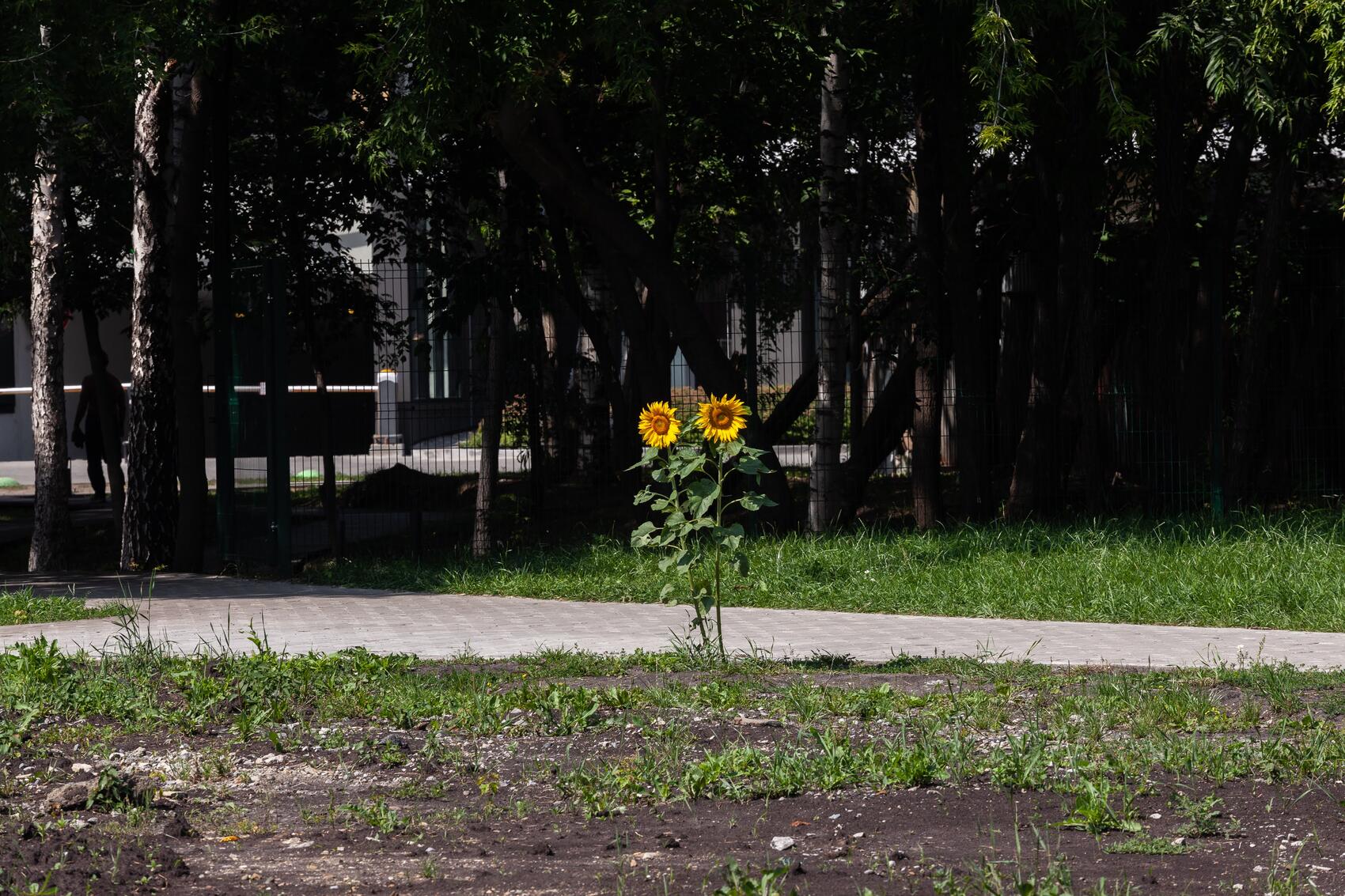 Фото: Игорь Брук / It's My City