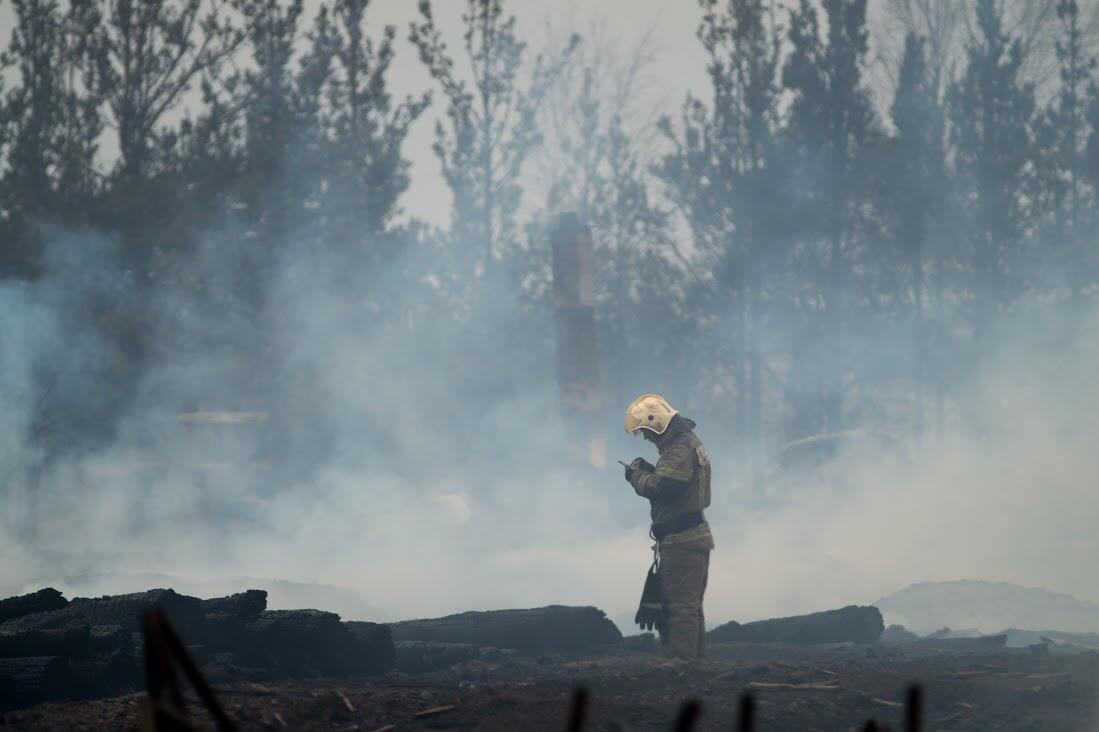 Фото: Елена Елизарова / It's My City