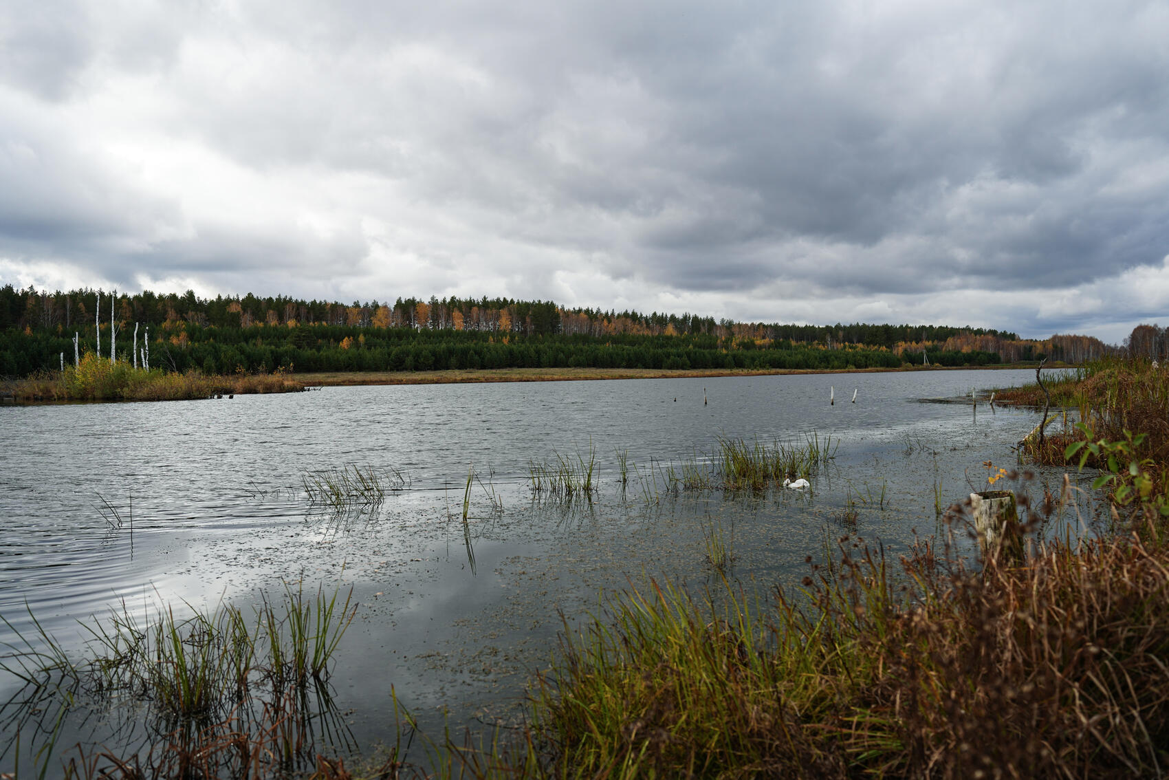 Фото: It's My City